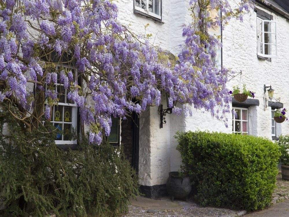 Old Church House Inn Newton Abbot Eksteriør billede